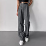 Classic Formal Straight Leg Pants Spring and Summer Women's Versatile Casual Wear Loose Fit Office Tourism Darp Wide Leg Pants