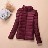 (sólo 20 en Promo!) Campera Pluma Ultra Liviana LOOF Original (70% OFF)